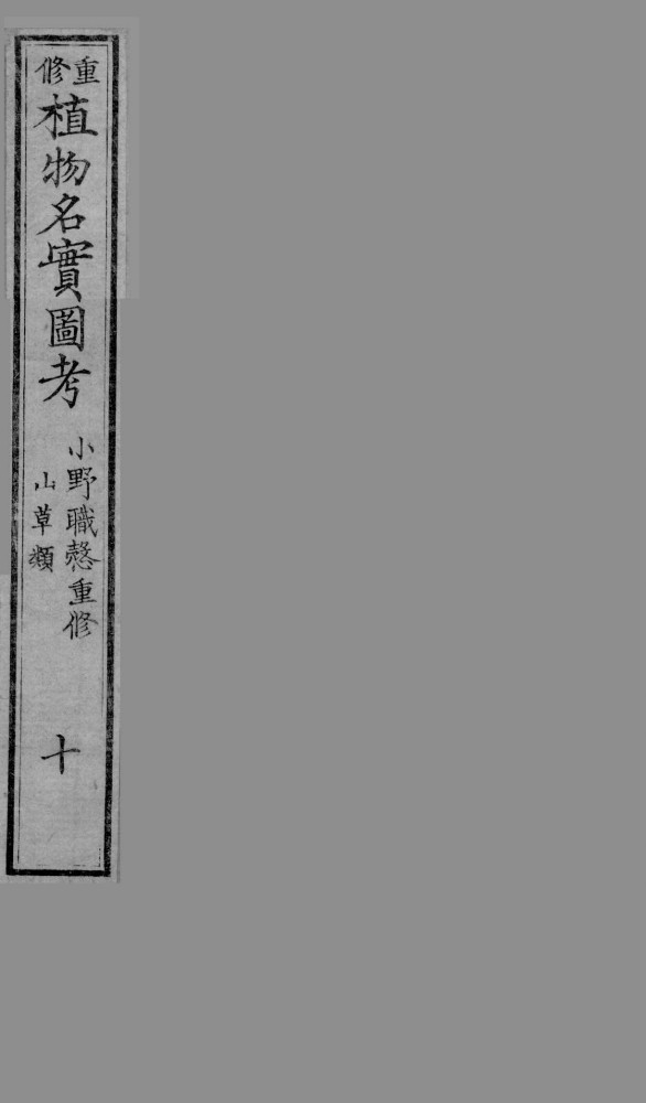 植物名实图考  10
